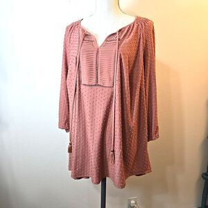 Daniel Rainn Terracotta Tunic Top Plus Size 2X Swiss Dot Pleating Detail Tassels